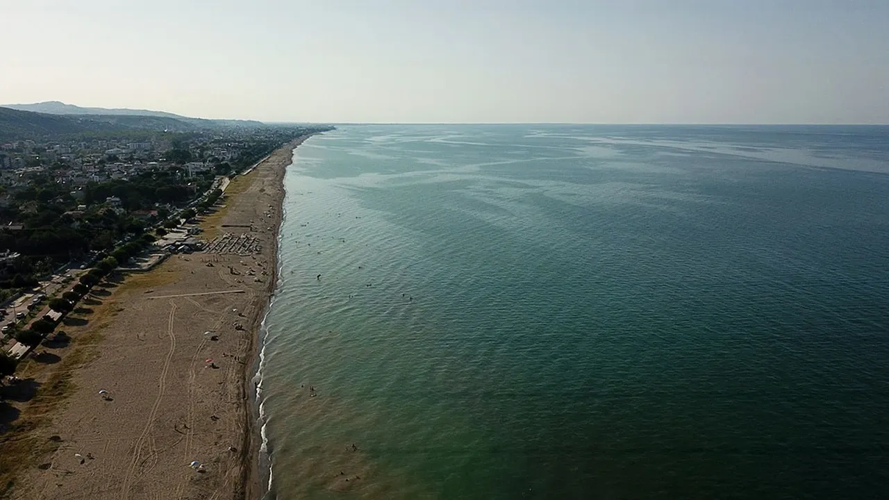 Karadeniz'de Denizanası İstilası: Bölge Halkında Endişe Yaratıyor