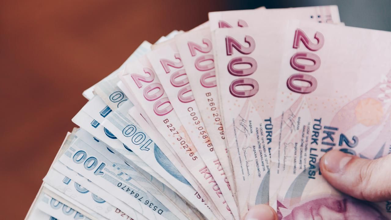 Yeni OVP Döneminde Türk Lirası Mevduatın Payı Artırılacak