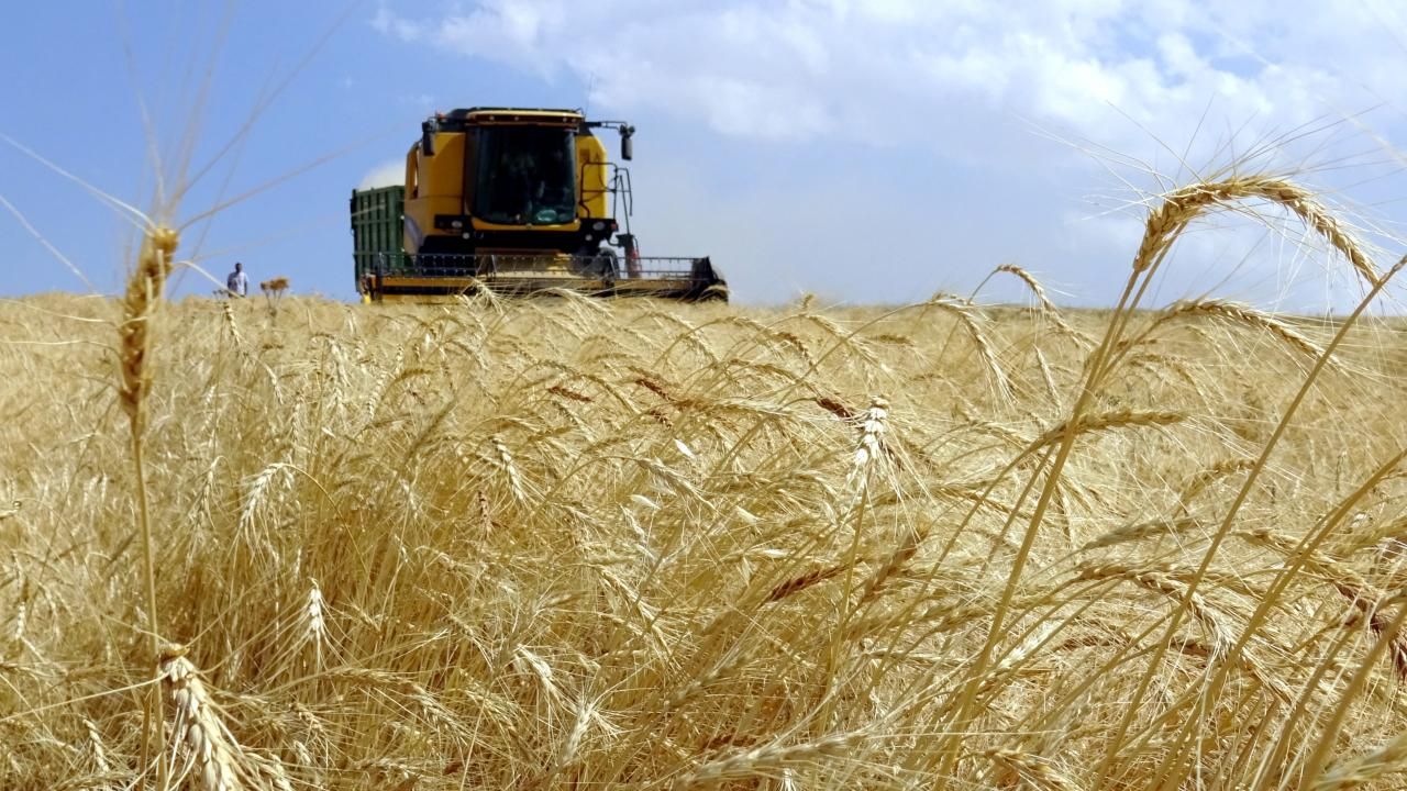 Tarımsal Girdi Fiyat Endeksi Mayıs 2026'da Yükselişini Sürdürdü
